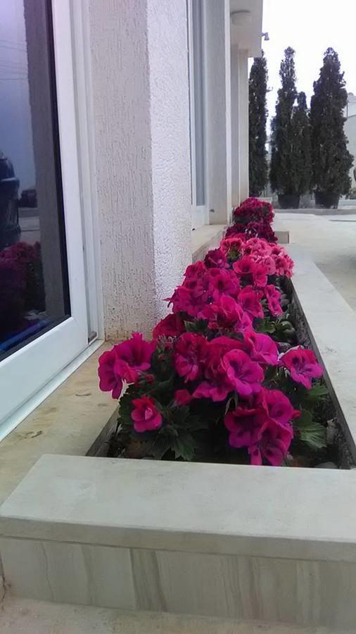סרנדה Aler Holiday Inn מראה חיצוני תמונה